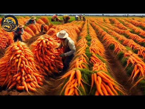 The Most Modern Agriculture Machines That Are At Another Level , How To Carrots In Farm