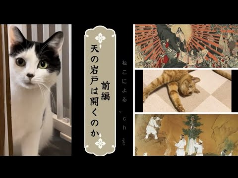 【ねこによる。ｃｈ】天の岩戸は開くのか ”前編” ＃保護猫 ＃野良猫 ＃猫飼い初心者