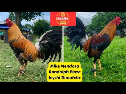 Mike Mendoza | Randolph Plaza | Jeyshi Dimafelix