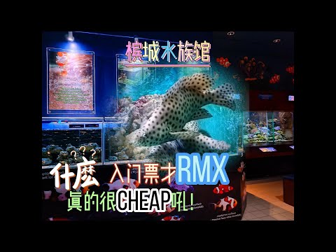 马来西亚槟城水族馆门票超便宜 | AKUARIUM TUNKU ABDUL RAHMAN