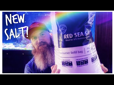 Changing to Artificial Saltwater with Red Sea Blue Salt