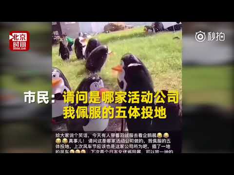 "南极企鹅空降南通啦，羽绒服都穿了，你给我看这个