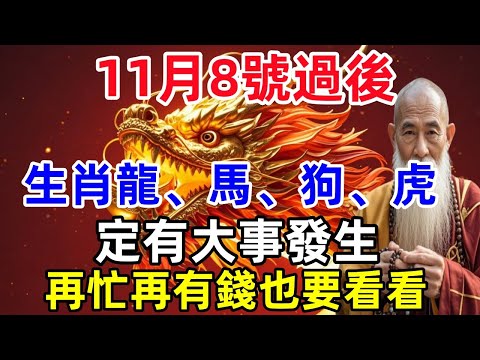 11月8號過後，生肖龍、馬、狗、虎定有大事發生，再忙再有錢也要看看！