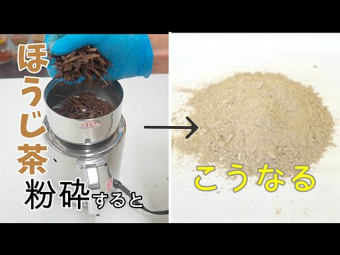 家庭用製粉機でほうじ茶をパウダー化！手軽に作れる自家製ほうじ茶パウダー（コナッピー）