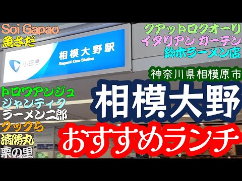 相模大野おすすめランチ紹介、ジャンティク、クアットロクオーリ、清勝丸、魚さだ、ラーメン二郎、Soi Gapao（ソイガパオ）、クックら、トロワアンジュ、肉煮干鈴木ラーメン店、栗の里、イタリアンガーデン