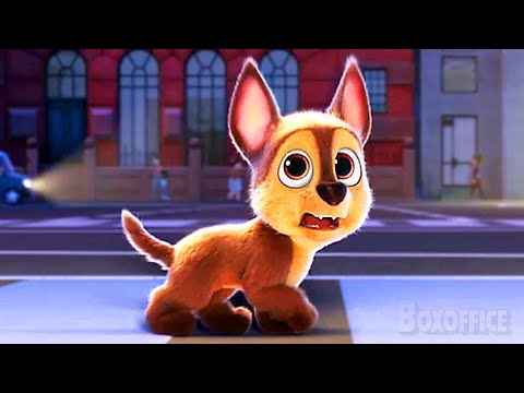 Paw Patrol: The ULTIMATE Cute Dogs Compilation (Best Scenes) 💛⚡ 4K