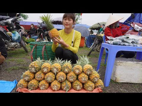 Full video: Harvesting Watermelons, tomato, snails, pineapple lots of fruits go to the market sell