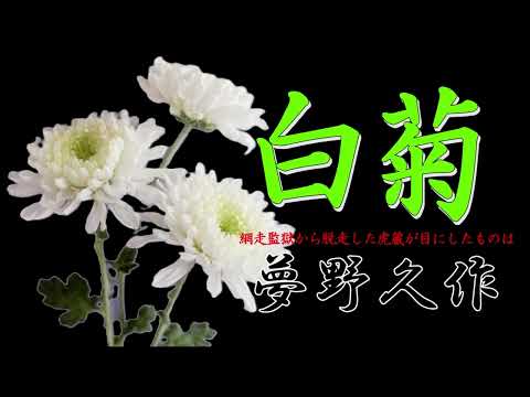 白菊　夢野久作　朗読