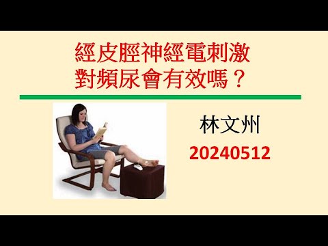 頻尿系列  經皮脛神經電刺激對頻尿有效嗎？－林文州20240511