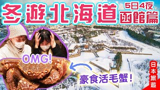 冬遊北海道5日4夜❄️函館｜萬円豪食活毛蟹! 可能是函館最好的酒店? 函館朝市、金森倉庫、夜景 #函館 #日本旅遊 #北海道