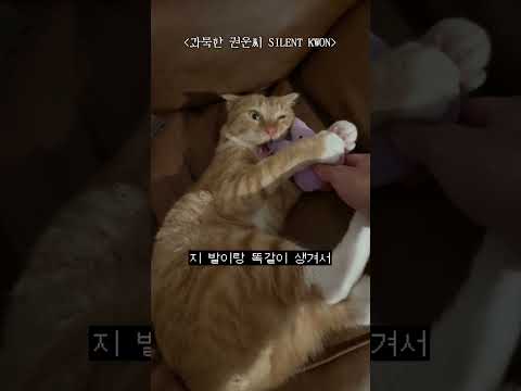 아직 고양이의 심리를 잘 모르겠어요