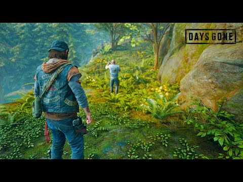 Days Gone PC Benchmarks - All Settings Tested | RTX 2060 + RYZEN 5 3600