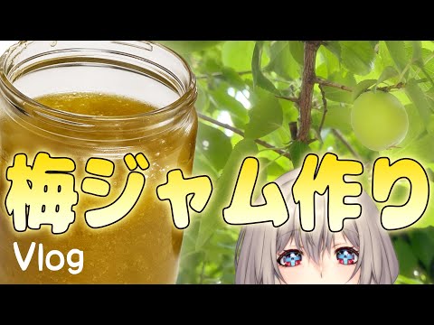 【Vlog】梅ジャムつくり方