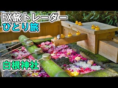 FX旅トレーダー白根神社ひとり旅