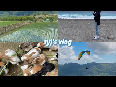 台東鹿野飛行傘初體驗🪂｜太麻里｜金聯世紀酒店｜台東旅行Vlog