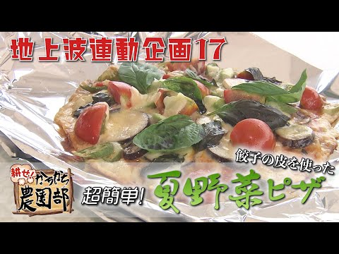 【農園部17】ギョウザの皮で!?夏野菜ピザ！飯テロ注意