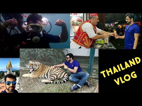 Thailand Trip | Phuket | Krabi | Thailand Vlog | Sanctuary of Truth | VlogGoals