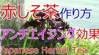 赤シソ茶 作り方 How to make Japanese Herbal Tea