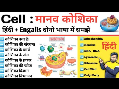 Human Cell In Hindi | मानव कोशिका | Structure of Cell | Cell The Unit Of Life | Cell Organelles |