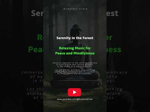 Serenity in the Forest | Relaxing Music for Inner Peace and Mindfulness