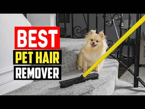 ✅Top 5 Best Pet Hair Remover in 2023