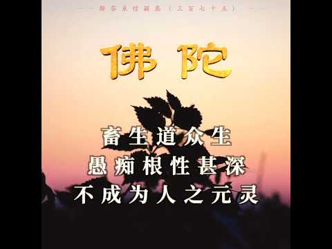 虽为人，多行畜生道，多为恶事，形似人，可灵已是畜生胎道也【佛子天地游】佛陀开示 01-04-2020