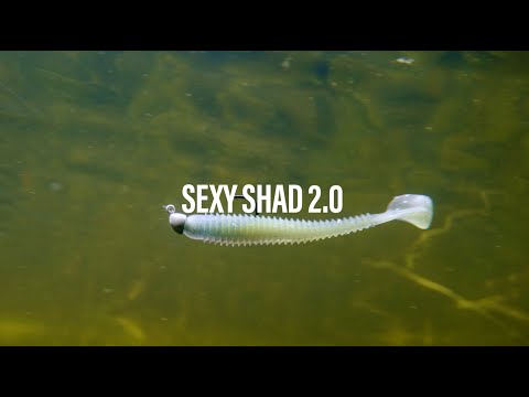 Strike King Sexy Shad 2.0 Color Extension