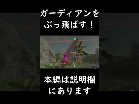 Home run the guardian【BOTW】