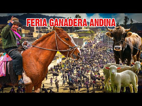 Un viaje al corazón de la CULTURA GANADERA andina, la feria más grande del Perú | PAUCARÁ