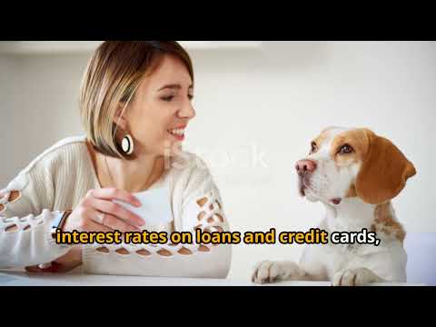 The SHOCKING TRUTH about Credit Repair! SCAM OR LEGIT?