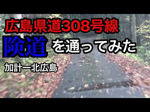 広島県道308号溝口加計線（険道）を通ってみた