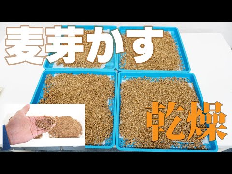 【肥料作り】麦芽かすを乾燥（プチミニⅡ）