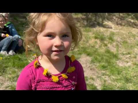 LaPine State Park & The Biggest Ponderosa Pine