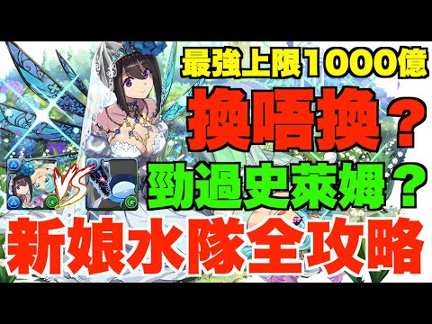 【組隊解說】10星新娘水隊有幾勁？暴力1000億上限、史萊姆水隊徹底比較、30個印花值唔值？1隻必買未來水隊核心【パズドラ PAD】