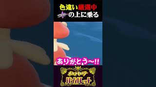 【バグ】ミガルーサに乗って波乗りする主人公がヤバすぎるww【ポケモンSV】【スカーレット・バイオレット】【うさごん】