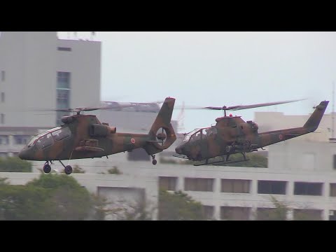 【立川航空祭2024】ヘリコプター帰投/陸上自衛隊  OH-1 オメガ,AH-1S コブラ