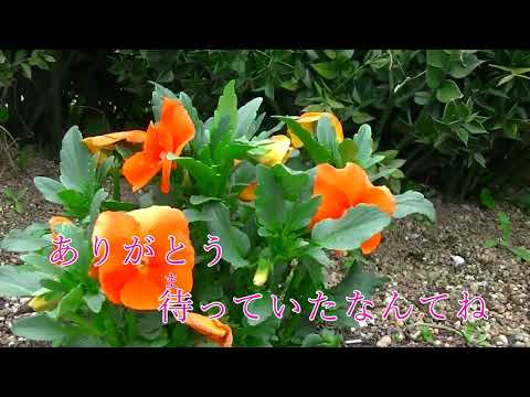 【新曲】帰郷　天童よしみオリジナル