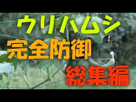 【ウリハムシ】完全防御 総集編 2023