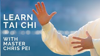 Tai Chi for Beginners | Best Instructional Video for Learning Tai Chi