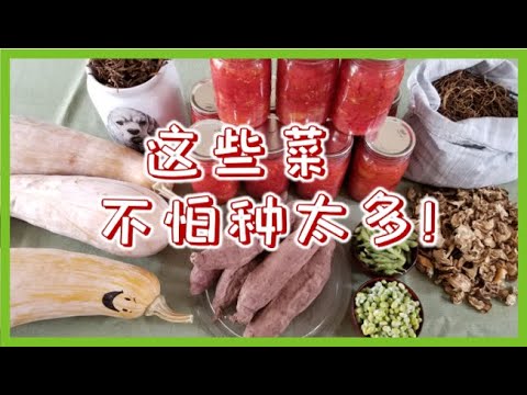 【菜园规划】2023年的菜园，一定要多种这些菜！Grow more of these vegetables in 2023!