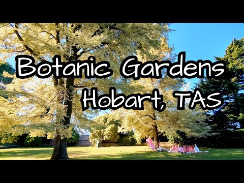 The Royal Tasmanian Botanical Gardens, Hobart Tasmania Australia