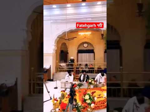 Fatehgarh Sahib Gurdwara 2023#viral#shorts  #ytshorts #waheguru #vlogger #minivlog