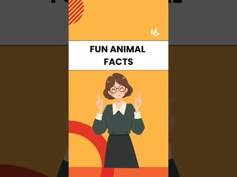 Question & Answer for kids #animalfunfacts