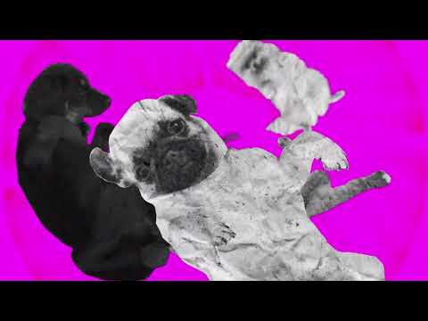 Dog Daughterz - The Last Years (Official Video)