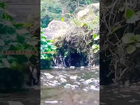 北海道夏の京極の湧き水