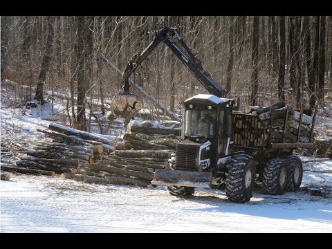 logging around Wind Ridge homestead, day2