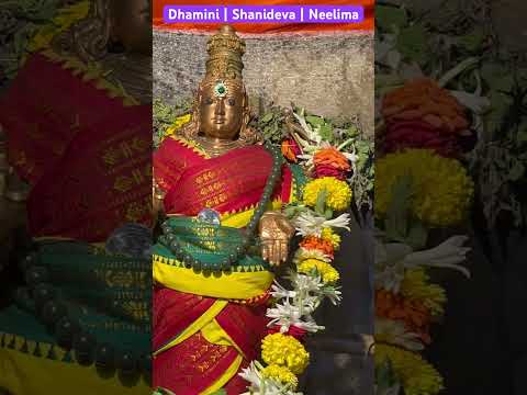 Dhamini | Shanideva | Neelima