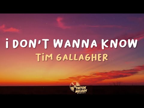 Tim Gallagher - I Don't Wanna Know (Lyrics)