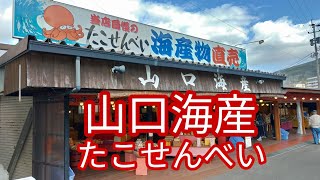 雲仙市小浜の山口海産のたこせんべいへ！