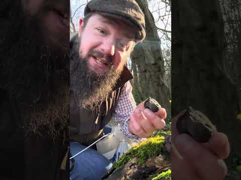 Mushroom hand warmers foraging tips through this winters foraging season 2025